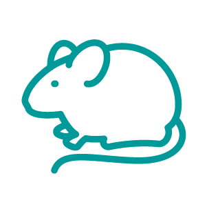 Mouse Icon